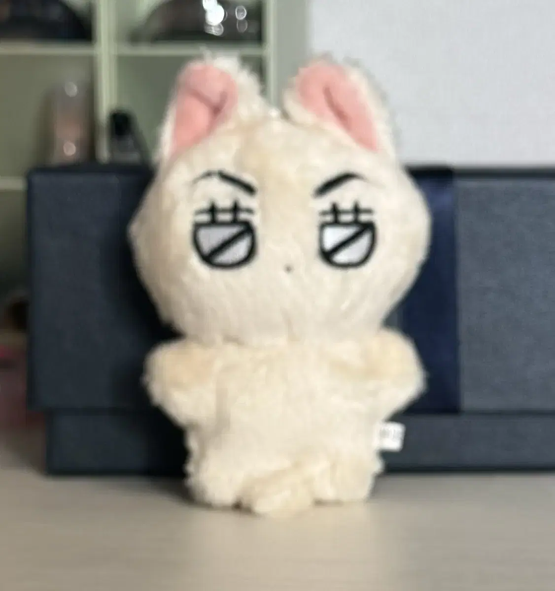 버냥이 팔아요