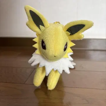 샌더스마 스캇키링