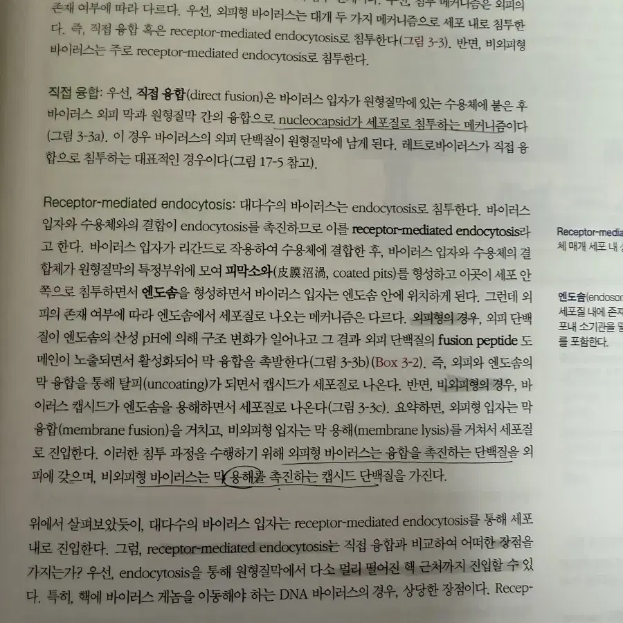 전공서적 바이러스학 류왕식