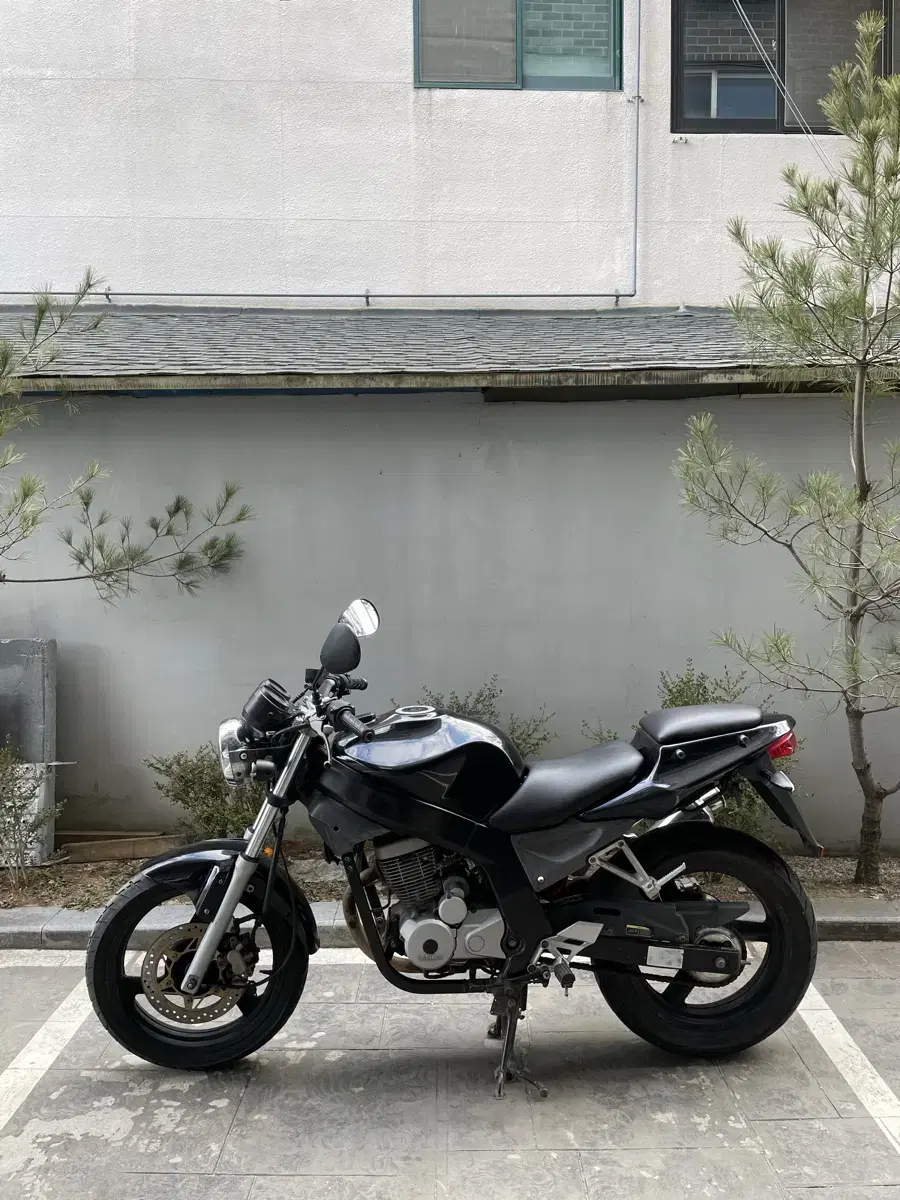 대림 로드윈 125cc