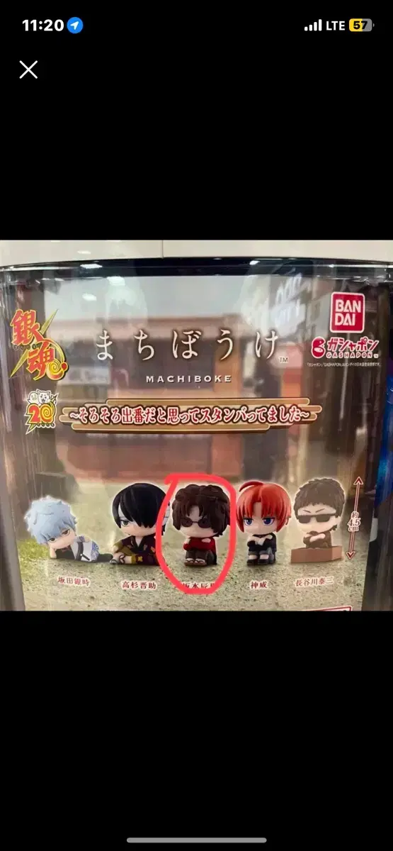 Gintama Machiboke (Sakamoto)