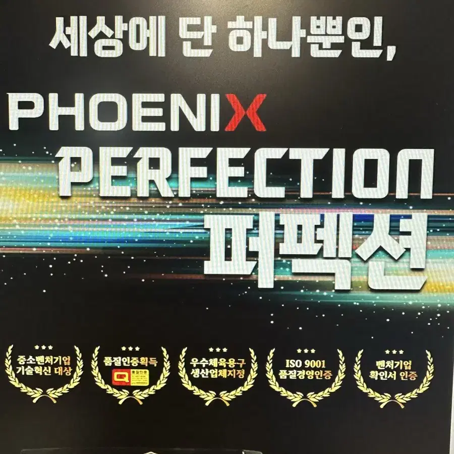 피닉스 퍼펙션 파크골프채 세트