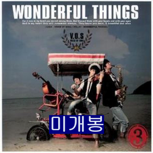 브이오에스 - 3집 / Wonderful Things (미개봉, CD)