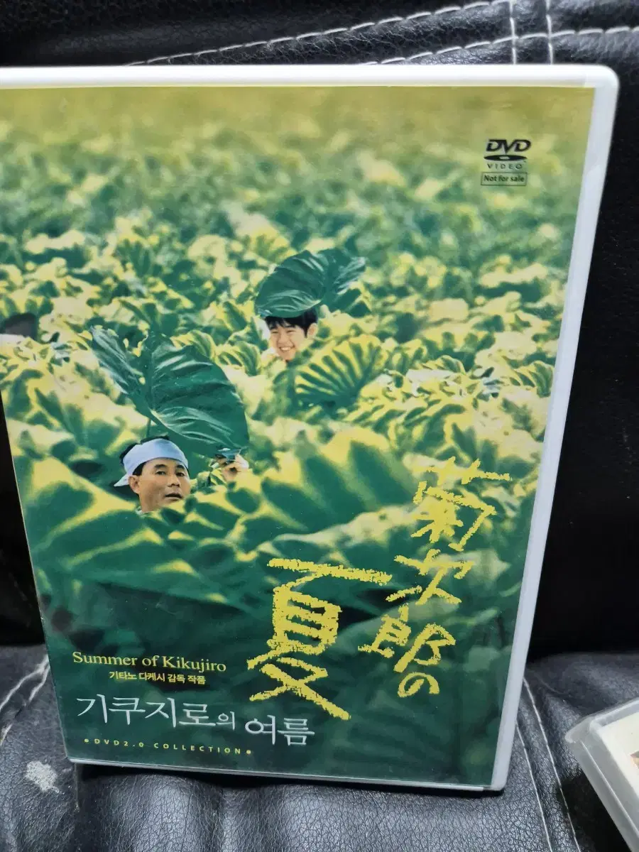 (dvd)기쿠지로의 여름