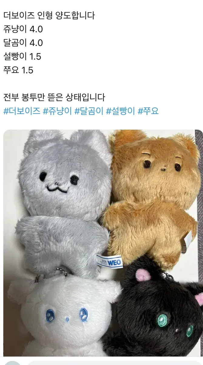 더보이즈 인형 쥬냥이 달곰이 설빵이 쭈요