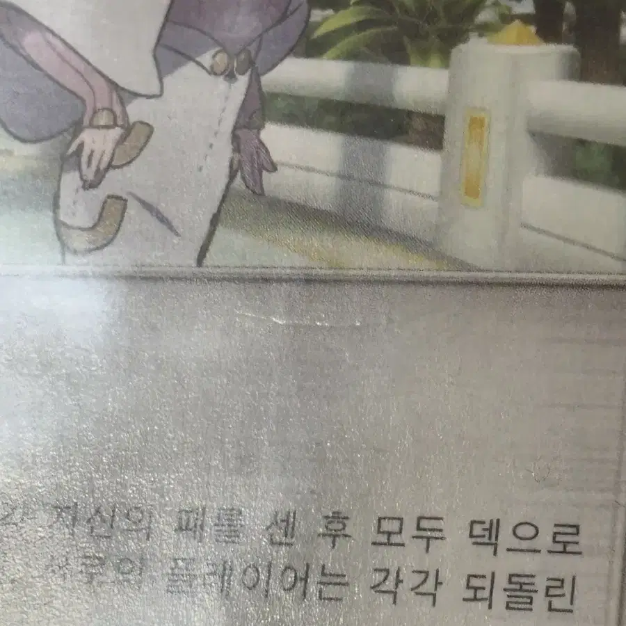 포켓몬스터 비케 포켓몬 카드 인테리어 소품 꾸미기용 포장용