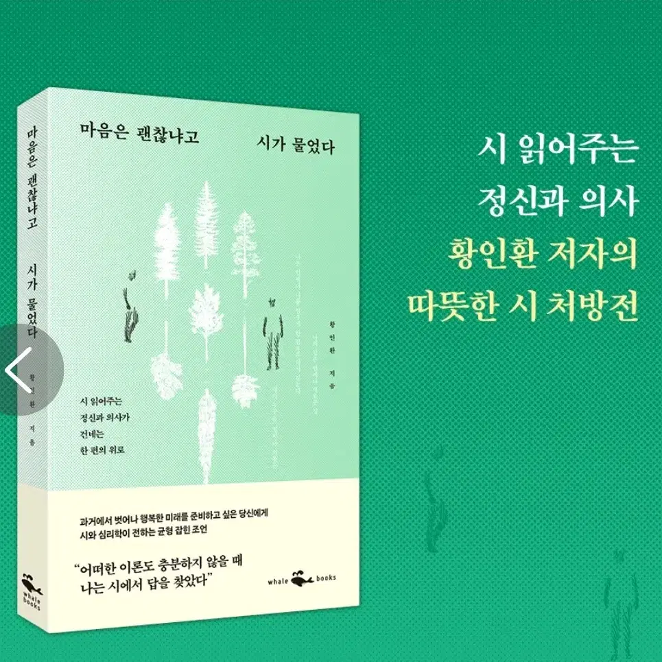 마음은 괜찮냐고 시가 물었다 새상품