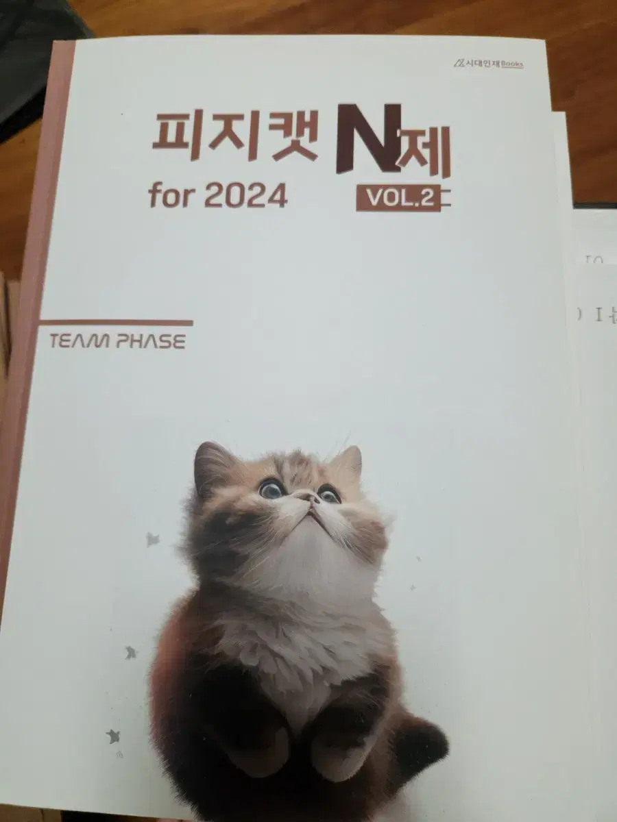 피지캣 n제 vol.2