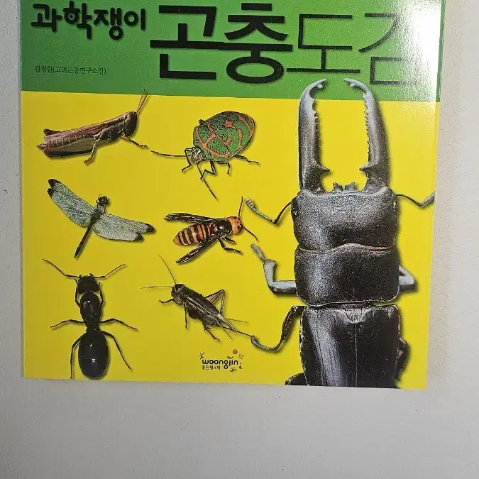 과학쟁이 곤충도감 식물도감