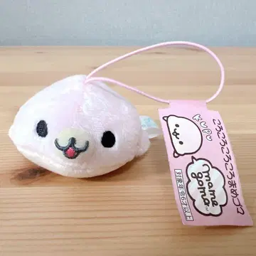 마메 참깨 사쿠라 참깨 마 스캇