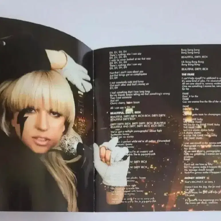 레이디 가가 The Fame 앨범 시디 CD