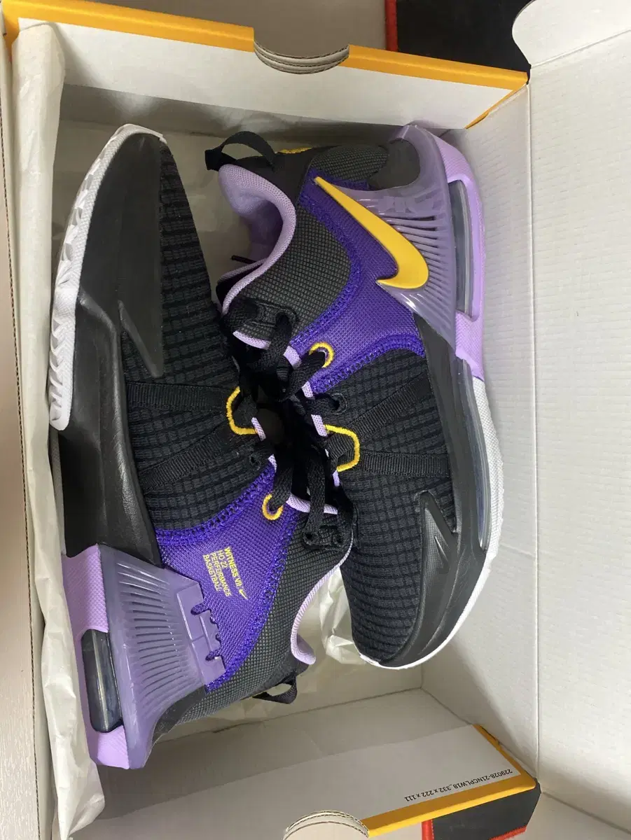 Nike LeBron Witness 7 EP Black Lilac (260)