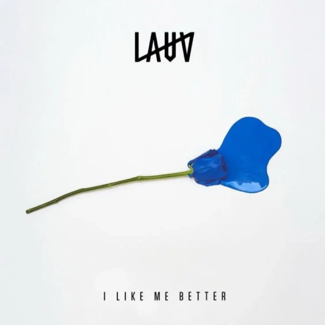 Lauv - I met you when i was 18 (신품 2CD)