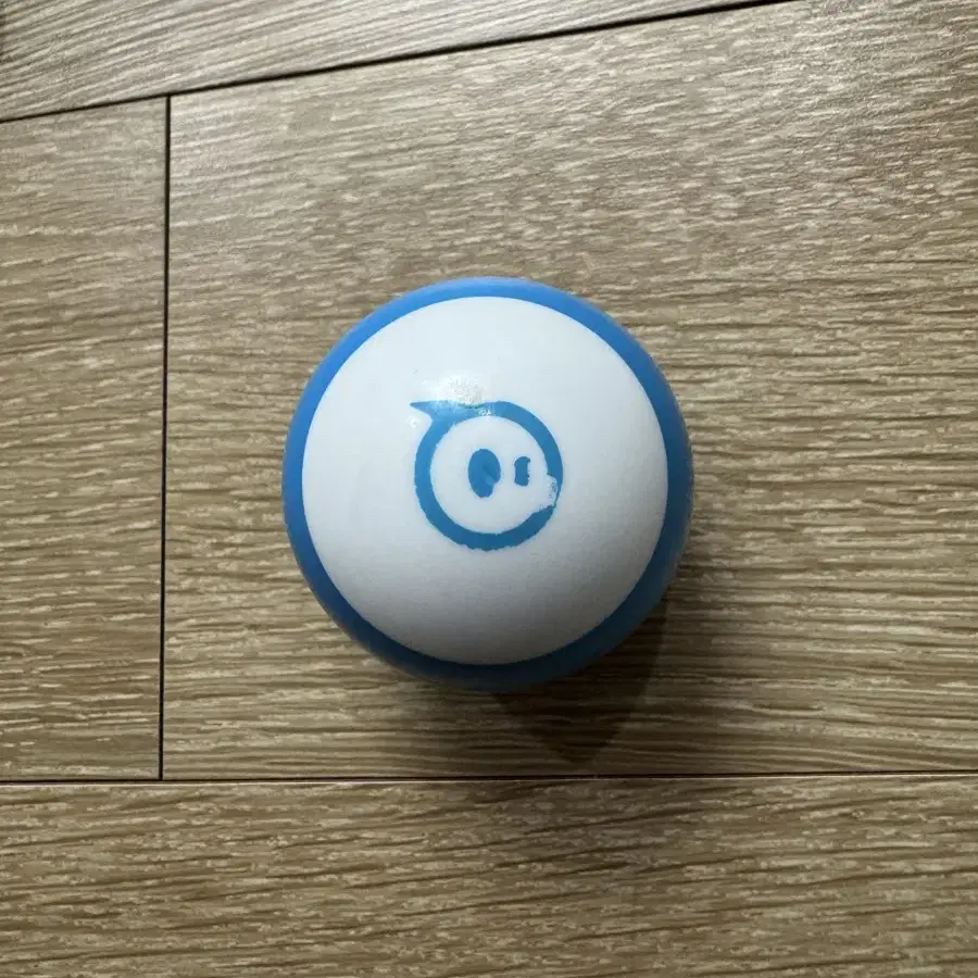 스피로 미니 sphero mini 고양이 장난감 가능