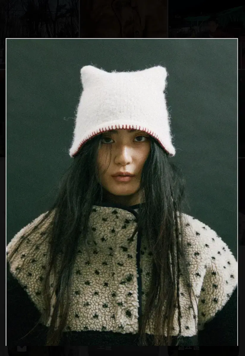 호쿠스포쿠스 kitten bucket cat beanie