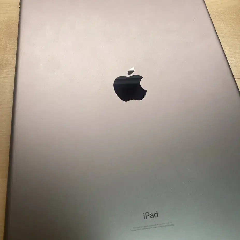 iPad Pro (12.9 인치) (2세대) (64GB)