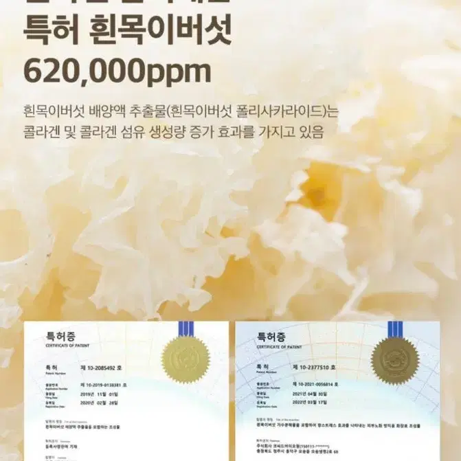 바르는 콜라겐 620000ppm 바르는 즉시 즉각적인 리프팅효과