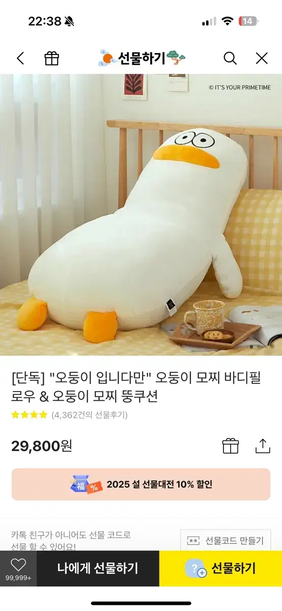 오둥이 바디필로우