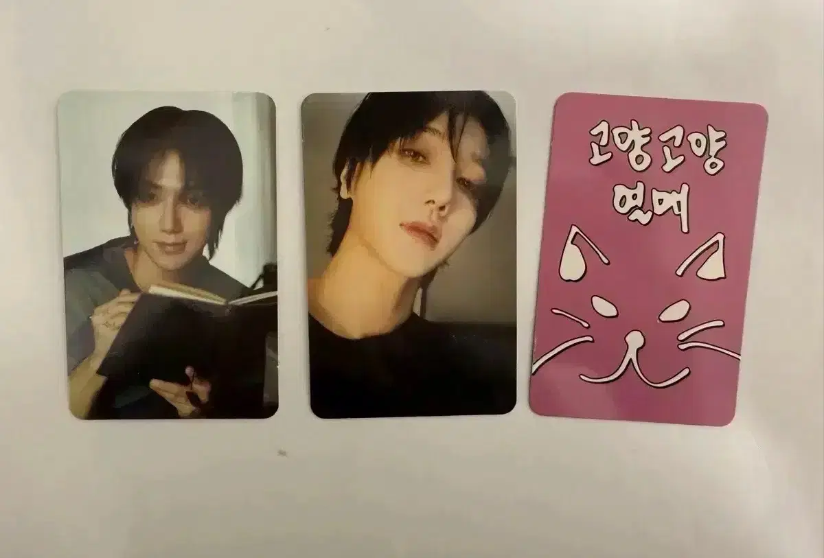 Super Junior yesung Solo Concert Photo Card Lucky Card T-Card Mnet MD Doll