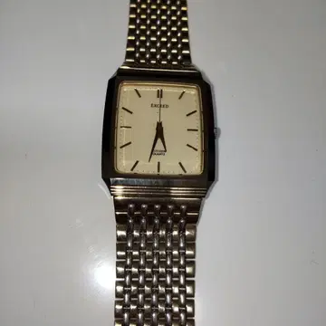 CITIZEN EXCEED