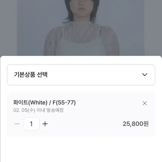 페스토 시스루 레이스 새상품