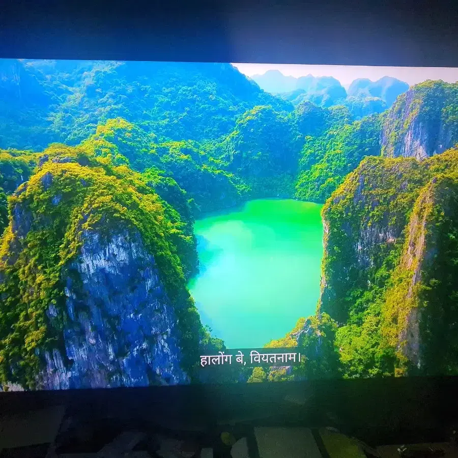 TCL 4K UHD LED TV (56인치) 스마트 TV(스탠드형)