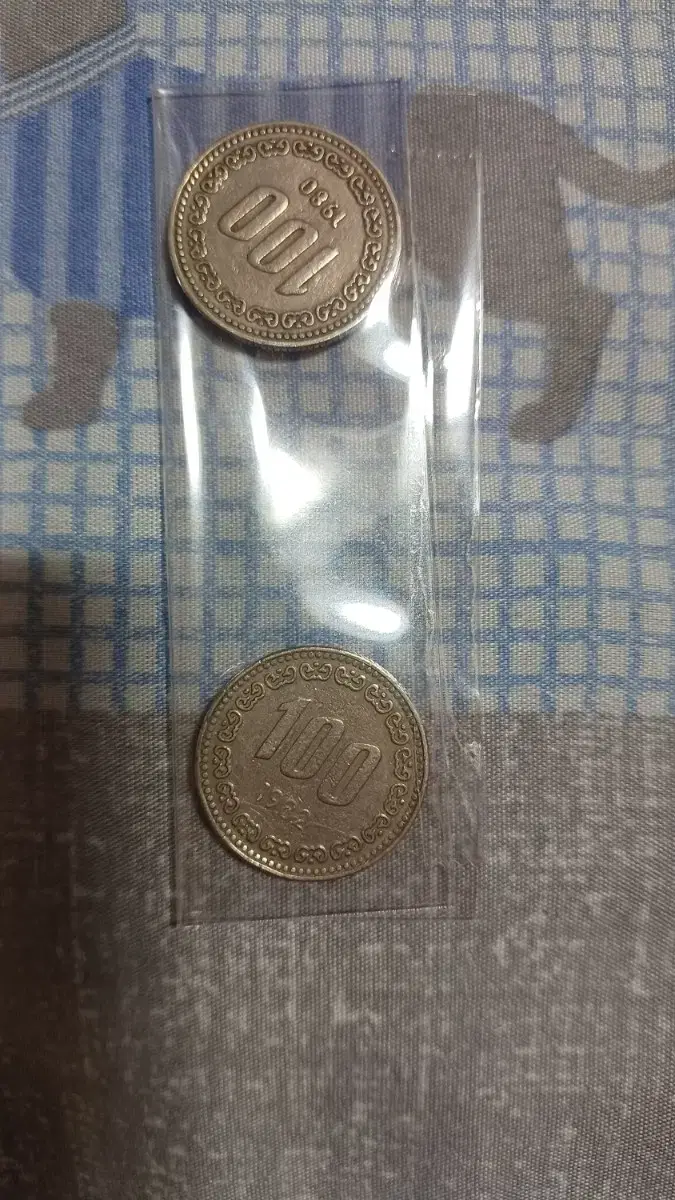 100원 동전