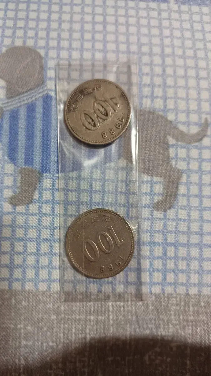 100원 동전