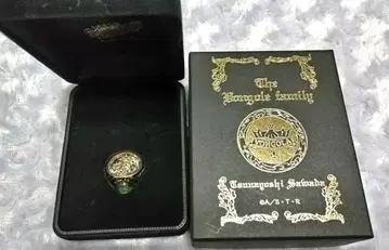 가정교사 히트맨 리본 리본 링 대공의 반지 사와다 츠나요시