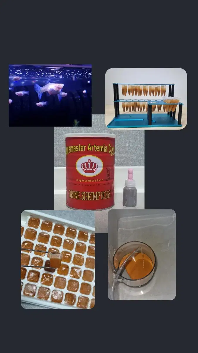 10g 1500 KRW Brine Shrimp Eggs sell