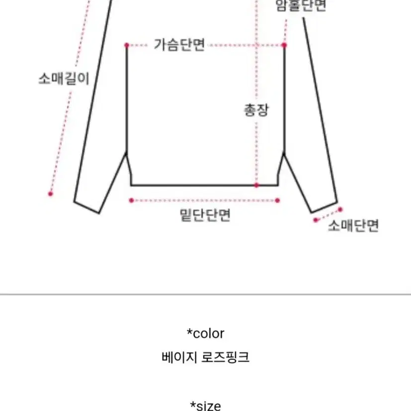 골지 베이지 니트