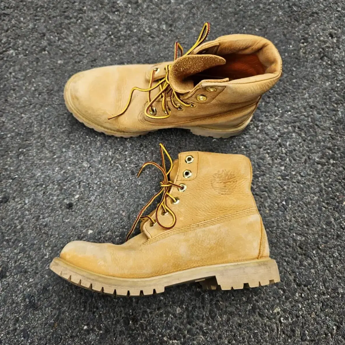 Timberland 팀버랜드 250