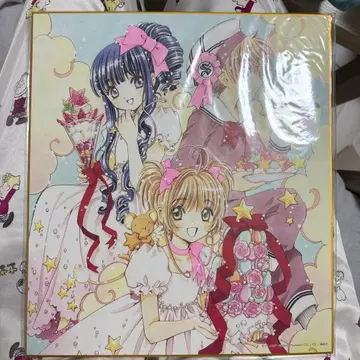 CLAMP 애니카페 혜택 색지 카드캡터 사쿠라 애니메이트