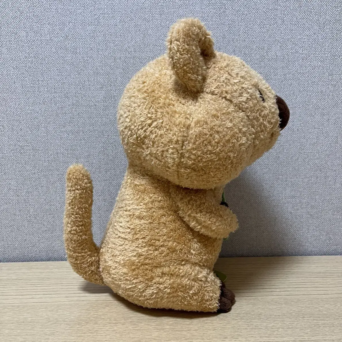 잎사귀 쿼카 인형 25cm