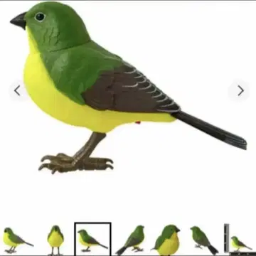 [미개봉 새상품] 뮤직 버드 허밍 버드