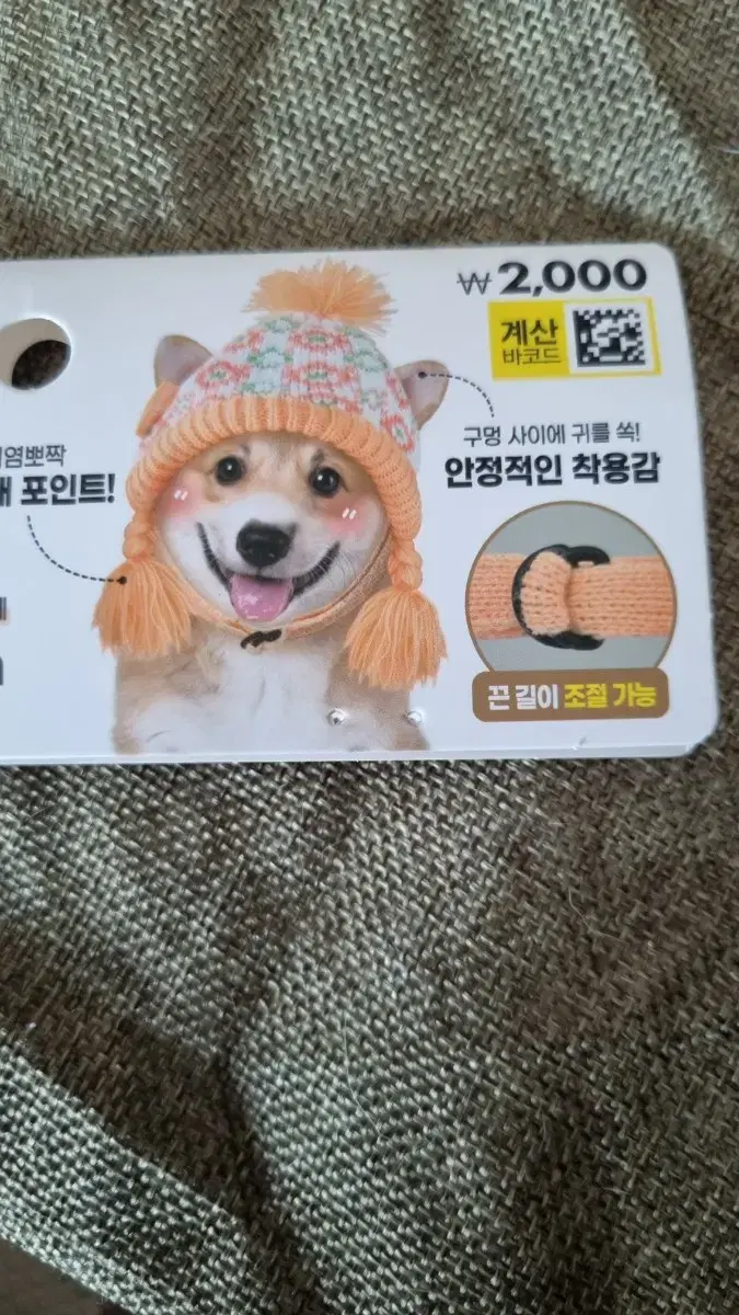 강아지 모자