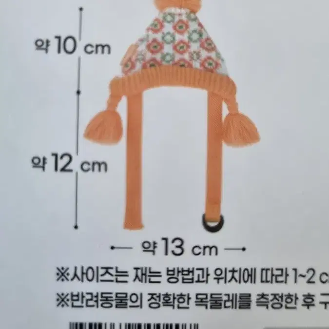 강아지 모자