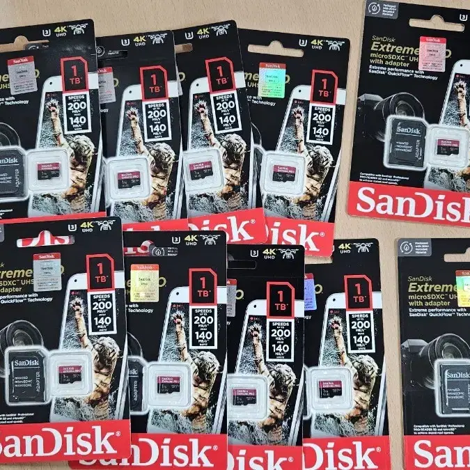 Sandisk 1TB SD 카드