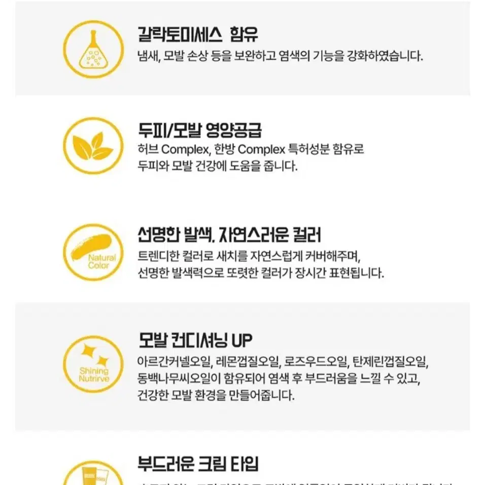 다슈 컬러 패스트 체인지 새치전용 염색제, 흑색, 2개