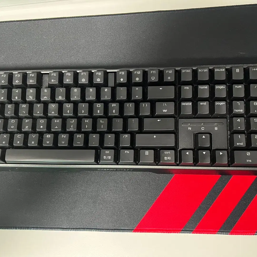 체리 MX 3.1 RGB MX2A 갈축 블랙