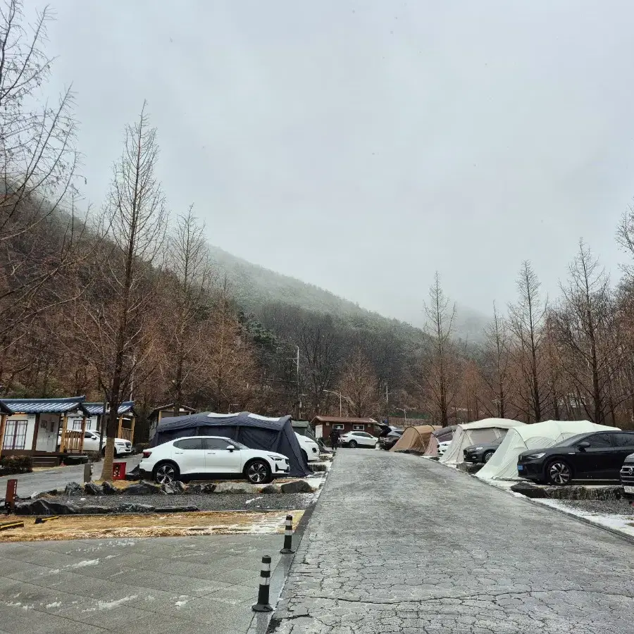 블루버켓 압축팩 삽니다