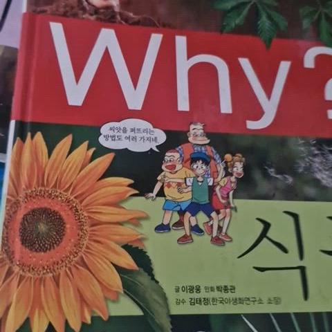 Why? 만화책