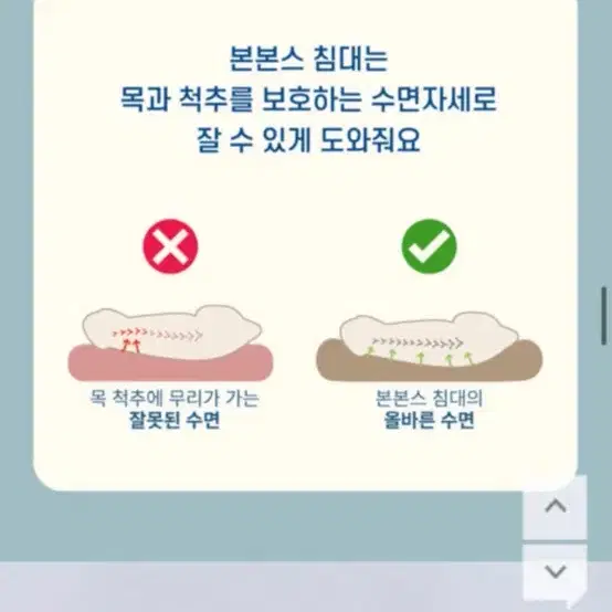 본본스 침대 라지 척추보호침대 강아지침대