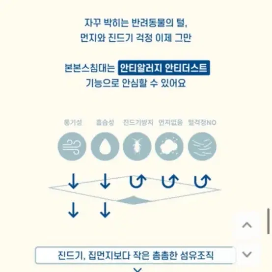 본본스 침대 라지 척추보호침대 강아지침대