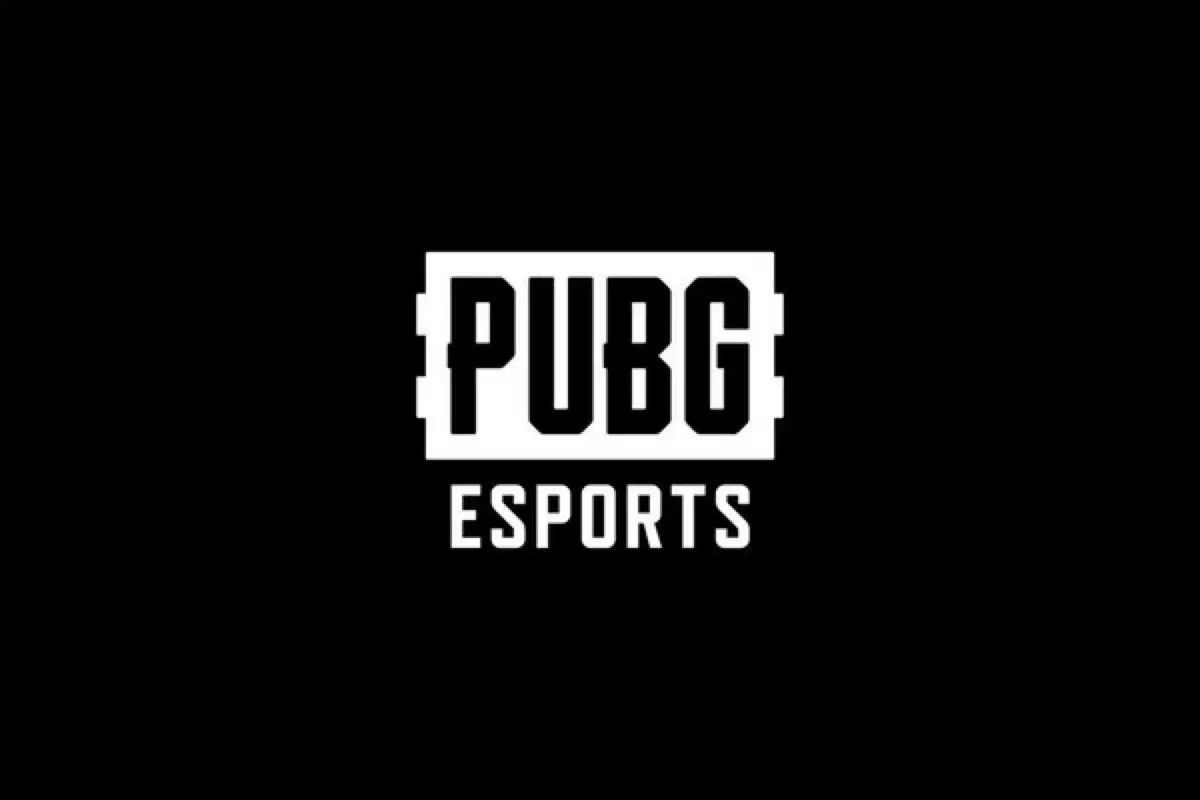 PUBG 배그 옷 스킨코드 판매