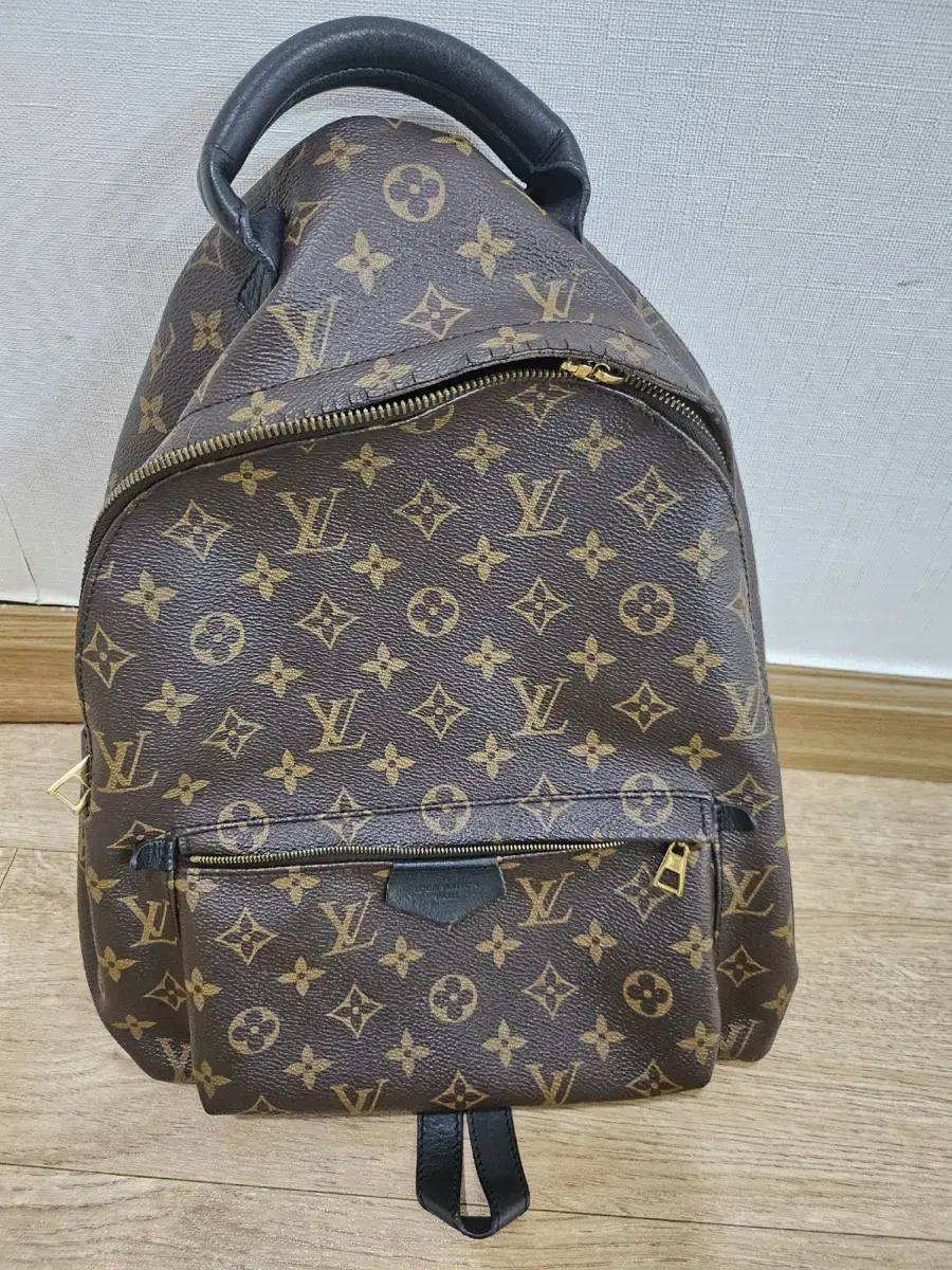 Louis Vuitton Genuine Palm Springs Large Backpack