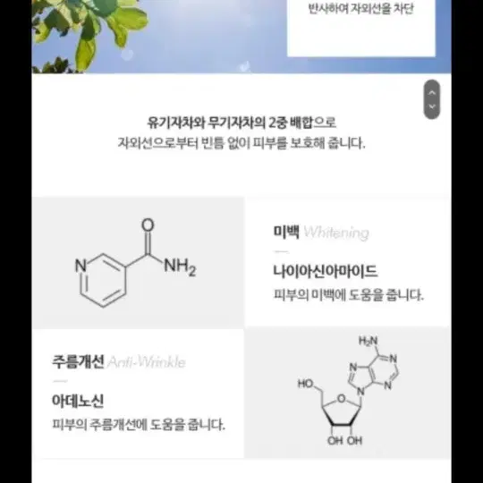 에코어스 톤업 핑크 선크림