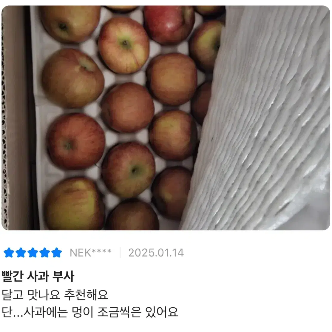 영주 빨간 사과 햇 부사 4.5KG 중과~중대과 / 12-22과