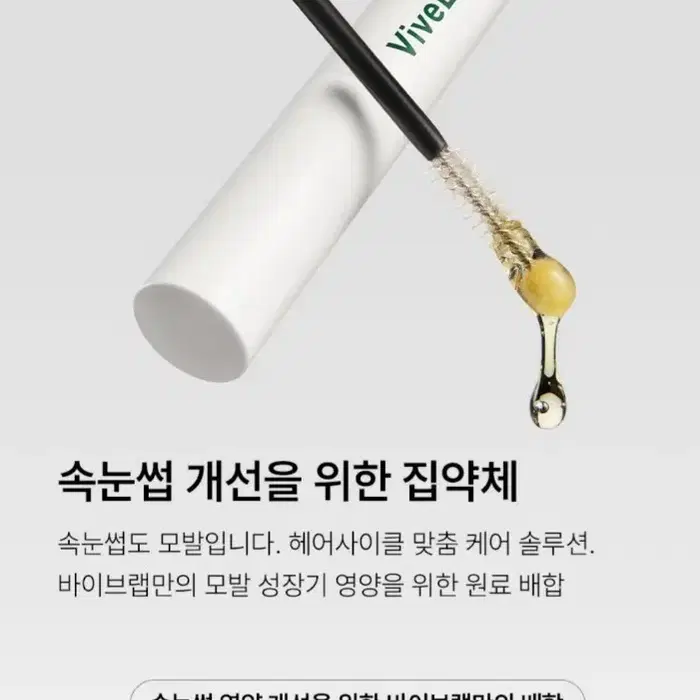 [ViveLab] 바이브랩 속눈썹 영양제 / 헤어 브로우 래쉬 세럼