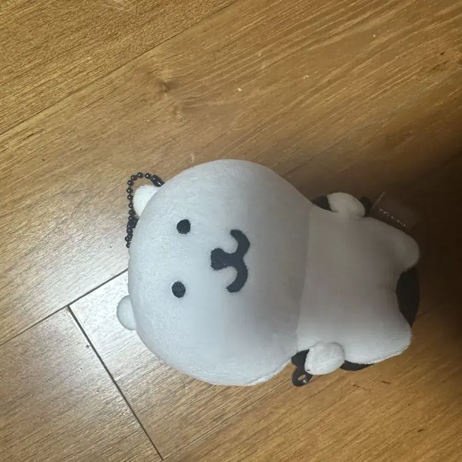 (가방이 열려요!)가방 멘 농담곰 가방농담곰